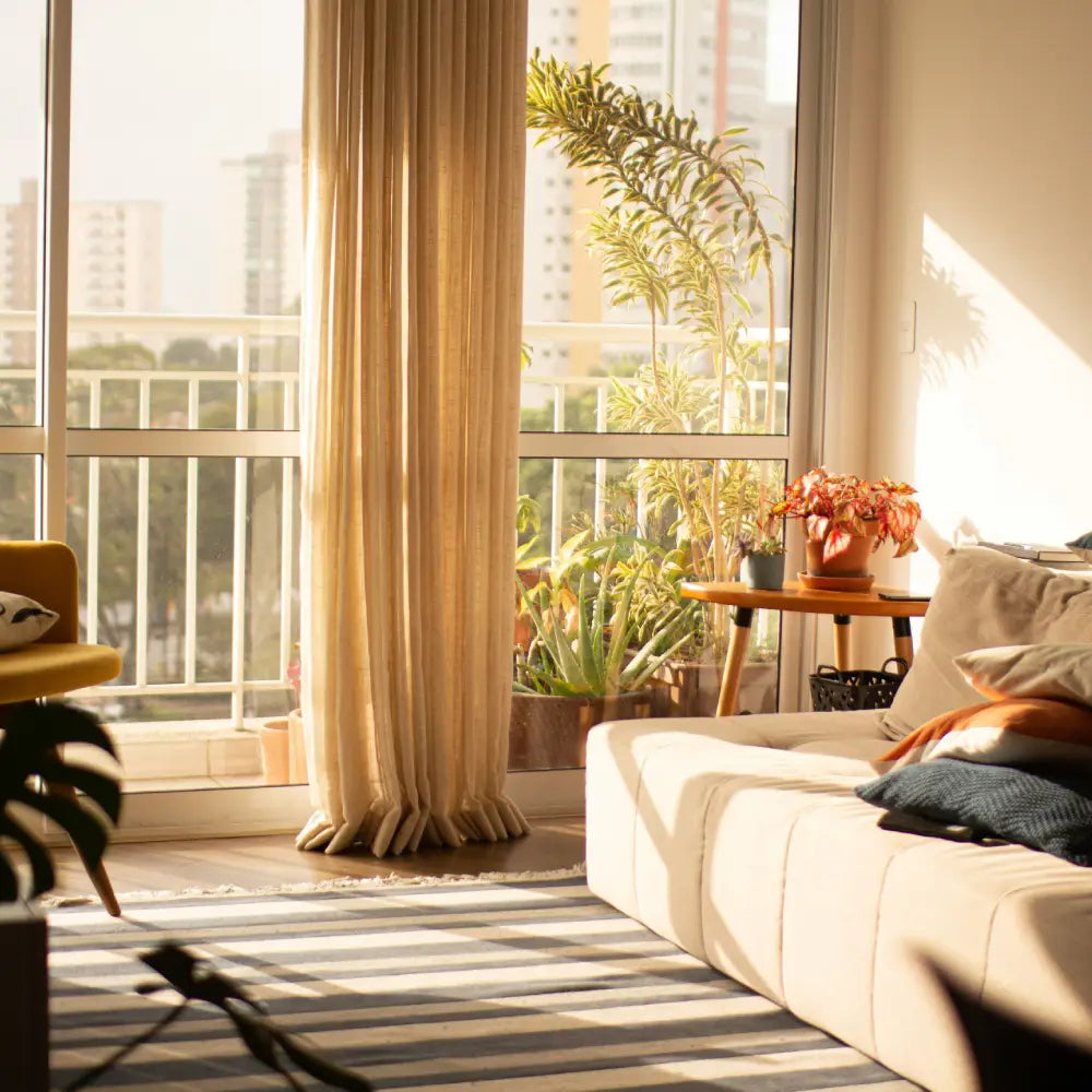 Bright apartment living room with large windows and strong sunlight highlighting need for blinds or shades for privacy and light control